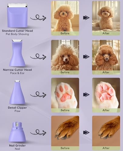 Dog Clippers Grooming Kit, 4 in 1 Quiet Cordless Dog Paw Trimmer & Nail Grinder, Small Cat Clippers Electric Rechargeable Low Noise Pet Shaver for Trimming Hair on Paw Eye Ear Face (Purple) | Quiet Cordless Dog Hair Trimmer for Paw Nail Grinder, Cat Groom