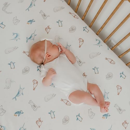 Arctic Wonder Premium Crib Sheet - color: Arctic Wonder
