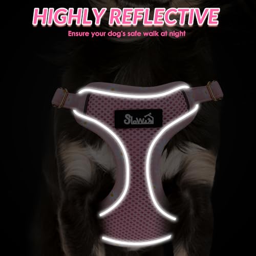 Lukovee Puppy Harness and Leash Set, No Pull Step in Lightweight Mesh Vest | Soft, Reflective, Easy Put on and off, Adjustable, Breathable Air Mesh, with 51in Leash for Walking Hiking (Pink, XXS) - color: Pink, size: XX-Small (2.2-6 lb)