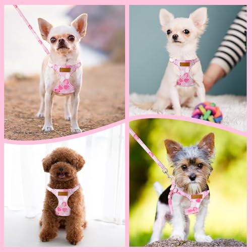 Lukovee Puppy Harness and Leash Set, No Pull, Lightweight Step in Vest | Adjustable, Soft Suede Vest, Easy Put on and off Pet Harness with Snap Buckle & 51in Leash for Small Medium Dogs (Pink-S, XS) - color: Strawberry, size: X-Small ( 5.5-11lb )
