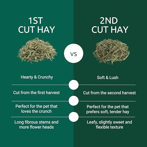 Kaytee First Cut Timothy Hay, High Fiber, Grown Specifically for Small Animals, Rabbits, Guinea Pigs, Chinchillas, 6.5 Pounds - style: 1st Cut Hay