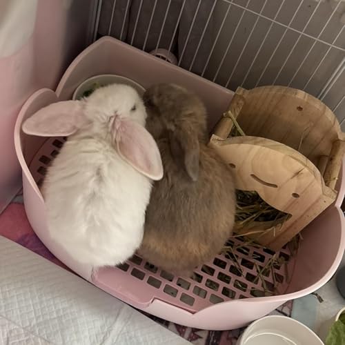 15.1"X11.0" Large Rabbit Litter Box,Plastic Square Rabbits Potty Trainer with Bigger Pan Bunny Corner Toilet Box with Small Animal Disposable Liner for Guinea Pigs Hamster Chinchilla(Purple) - color: 【Purple】