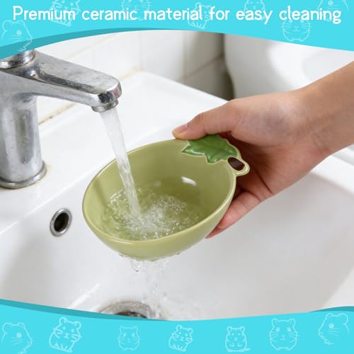 Small Guinea Pig Food Bowl Cute Ceramic Hamster Water Bowl Ferret Rat Chinchilla Rabbit Feeding Dish Young Animal Feeder (Avocado Green) - color: Avocado Green