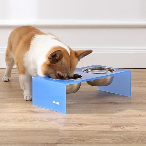 DBL2000C Keaton 5" Small/Medium Modern Acrylic Rectangular Elevated Pet Feeder with 20oz 2-Stainless Steel Bowls, Blue/Chrome - color: Blue/Chrome, size: 20 Ounces (5" Cups 2-Pack)