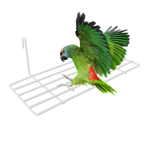 TEHAUX Bird Cage Shelves Iron Frame Shelf with Hanging Hooks Grid Wall Shelf for Parrot Perching Climbing and Resting Wall Decoration for Small Plants or Display - color: White