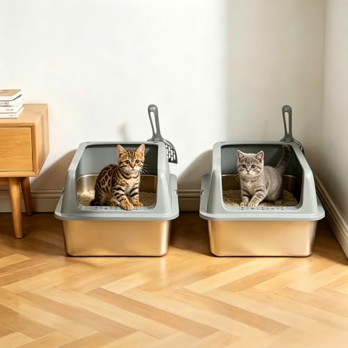 Kirecoo 2 Pack Medium Semi-Enclosed Stainless Steel Cat Litter Box with Lid | Scoop Included, Sturdy Metal Box, Anti-Leakage, Odor Free, Easy to Clean, For Cats Kittens & Bunnies, Multi-Cat Friendly - size: Medium