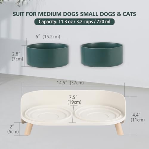 Elevated Ceramic Dog Bowl Set - Double Dog Feeding Bowls with Stand Splash Proof - Raised Dishes for Food and Water - Ideal for Small to Medium Dogs - 2 x 720 ml - 11.3 oz - Green - color: Green, size: Medium