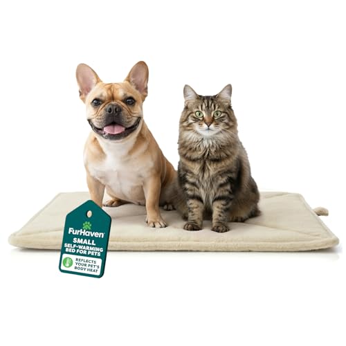 FurHaven ThermaNAP Self Warming Cat Mat, Dog Bed for Crates with Self-Warming Technology for Cozy Rest, Fully Machine Washable, Small, Plush Faux Fur, Cream - color: Cream, size: Small - 22"L x 17"W