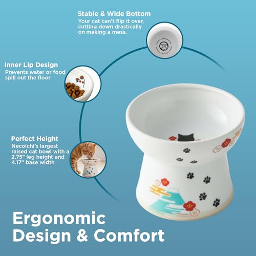 Necoichi Ceramic Raised Cat Food Bowl, Whisker-Friendly (Fuji, Large Flat) - color: Fuji, size: Large