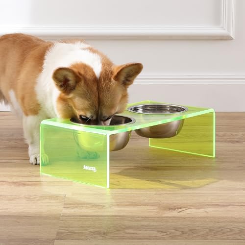 DBL2000G Keaton 5" Small/Medium Modern Acrylic Rectangular Elevated Pet Feeder with 20oz 2-Stainless Steel Bowls, Green/Chrome - color: Green/Chrome, size: 20 Ounces (5" Cups 2-Pack)