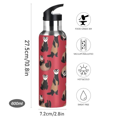 Ferrets Red Water Bottle Kids Stainless Steel Water Bottle with Straw Lid, Leak Proof Boys Girls Insulated Tumbler Cup for School 20 oz - color: Multi34