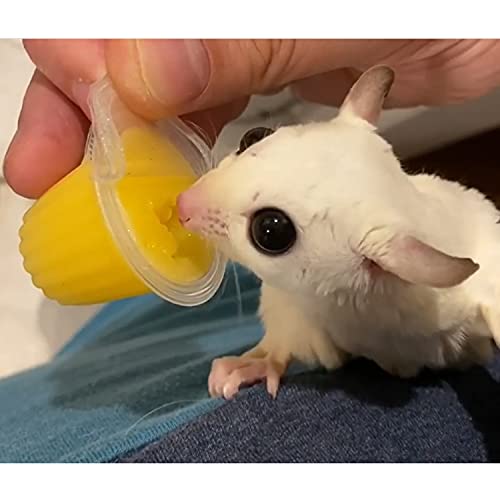 Nectar Pods (Mango) - Calcium-Fortified Jelly Fruit Treat - Sugar Gliders, Marmosets, Squirrels, Parrots, Cockatiels, Parakeets, Lovebirds, Conures, Hamsters, Day Geckos, Kinkajous & Other Small Pets