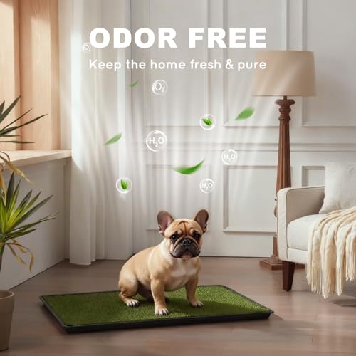 HQ4US Dog Grass Pad with Tray, Odor Free Grass Pee Pad for Dog Litter Box | Medium Dog Potty Tray with Grate, Artificial Grass Fast Drainage, Hemmed Edge, Realistic, Fake Grass for Indoor Balcony - size: M - 31" x 21" for Dog＜ 26'' Length