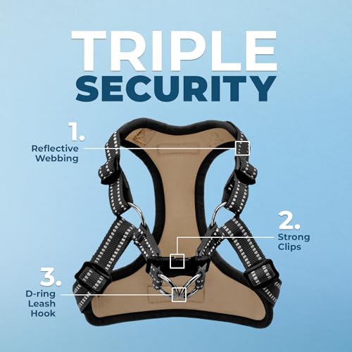 Best Pet Supplies Voyager Step-in Flex Dog Harness - Army, Large | 20 - 25" in Chest, Fully Adjustable, Reflective Bands, All Weather Breathable Air Mesh, Lightweight, Fast Drying - color: Harness (Army/Black Trim), size: L