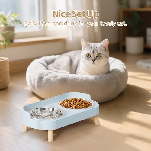 Elevated Cat Bowl, Raised Cat Food and Water Bowl Set for Indoor Cats, Splash Proof with 2 Stainless Steel Pet Food Bowls for Cats and Puppies, Whisker Fatigue and Dishwasher Safe - Blue - color: Cat Bowls-Blue