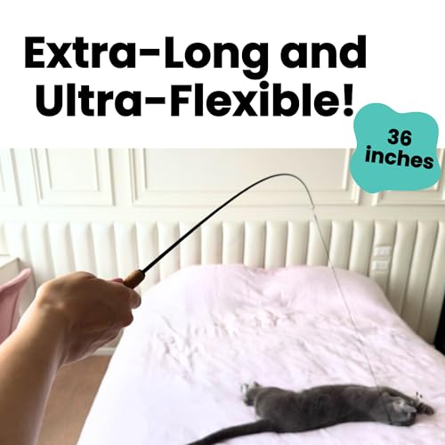 Forever Stick with Cat Toys and Strings Bundle - The Unbreakable Cat Wand Toy, Durable Cat Toy Wand, Extra Long Cat String Toy, Cat Fishing Pole Toy for Bored Indoor Adult Cats, Cat Stick Toy - size: Forever Stick and Extra Toys and Strings
