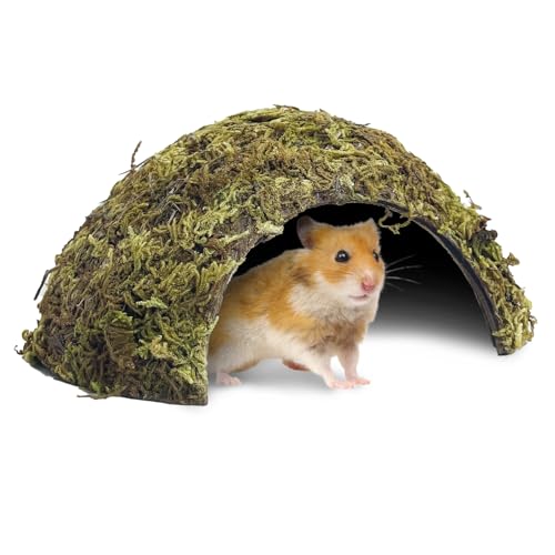 BNOSDM Hamster Hideout Natural Mossy Cave Hamster Houses and Hideouts Moss Covered Coconut Enclosed Hiding Hut for Mice Habitat Hamster Cage Accessories for Dwarf Gerbil Syrian Fancy Mouse (Large) - size: Large-1Pcs