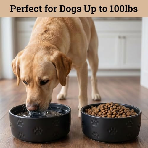 Ceramic Dog Bowl Set of 2 with Anti-Skid Base 7.5" W x 3" H, 6 Cup Capacity | Thick Ceramic, Dishwasher Safe, Anti-Skid Rubber Base, 6 Cups per Bowl, Ceramic Food & Water Bowls Set of 2 for Large Dogs - color: Black, size: Large