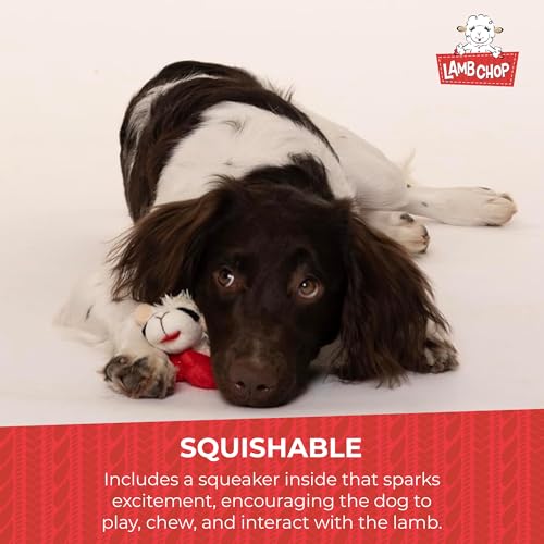 Multipet Lamb Chop Dog Plush Toy-Squeaky Toy for All Dogs - Extra Soft Plush - Stuffed Animal Dog Toy for Cuddling & Playing - Cute Pet-Toy (6", Cream) (Pack of 2) - size: 6" (Pack of 2), style: White