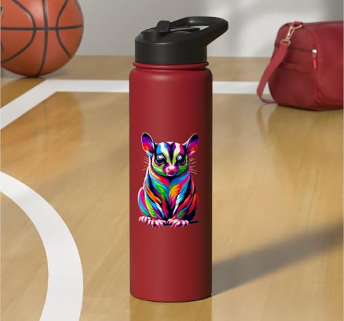 Colorful Pop Art Sugar Glider Sugar Gliders Stainless Steel Insulated Water Bottle - color: Red