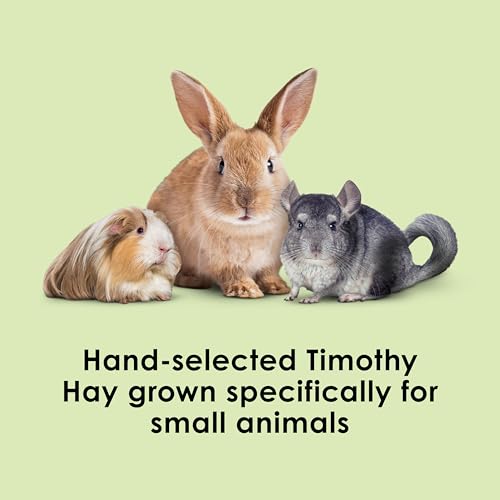 Kaytee Wafer Cut All Natural Timothy Hay for Pet Guinea Pigs, Rabbits & Other Small Animals, 11.25 Pounds - size: 11.25 Pound (Pack of 1)