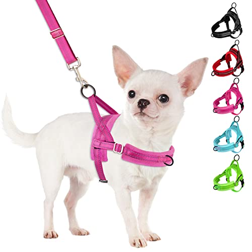 SlowTon No Pull Small Dog Harness and Leash Set with Front Clip | Soft Padded, Neck & Chest Adjustable, Lightweight, Anti-Twist, Puppy Vest Harness Pet Lead Combo for Small Medium Dog, FU, S - color: Fuchsia, size: Small