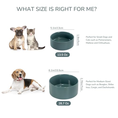 SPUNKYJUNKY 13.5OZ Ceramic Dog and Cat Bowl, Modern Cute Weighted Food Water Bowl for Replacement Light Green (1 Pack) - color: Light Green, size: 1.7 CUPS