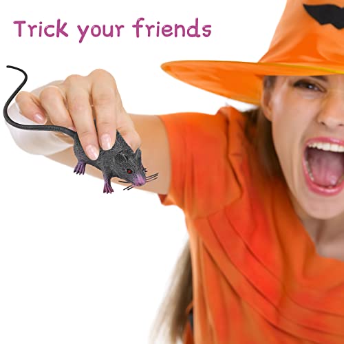 Fake Rat Prank Toy 2 Pack, Realistic Mouse with Long Tails | Lifelike Scary Prop for Halloween Parties, April Fools’ Day Pranks, Haunted House Decor, Non-Toxic Plastic, Black/Gray