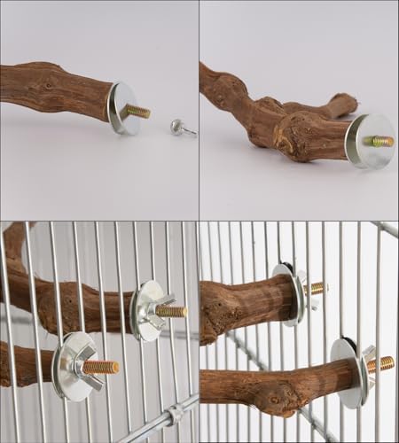 17 Sets Bird Perch Screws with Socket, Bird Perch Hardware for Cage Platform Mounting, DIY Cages (Double-Ended Screws)