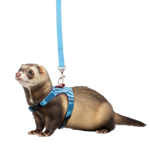 Hypeety Small Animal Harness Vest and Leash Set Soft Mesh Small Pet Harness Hamster Rabbit Chest Back Outdoor Leash Traction Rope for Rabbit Ferret Guinea Pig Kitten Clothes Accessory (M, Blue Stripe) - color: Blue Stripe, size: M