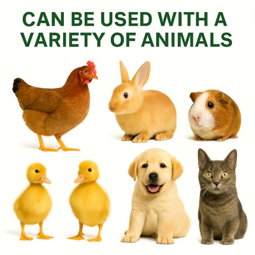 Portable Chicken Coop - Small Animal Playpen and Pop Up Chicken Coop Run - Transparent Breathable Mesh Net and Foldable - Complete with Collapsible Food/Water Bowl