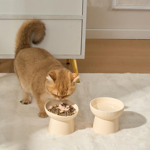 Ceramic Elevated Cat Bowls-Water Bowl, 15° Tilted Design, Anti-Vomiting & Spine Protection, Prevent Whisker Fatigue for Kittens to Adult Cats and Small Dogs (White-Cat Shape-1) - color: White-Cat Shape-1