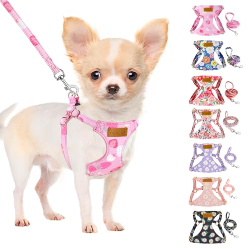 SlowTon No Pull Dog Harness with Leash for Small Medium Dogs, Strawberry XXS - color: Pink Strawberry, size: XX-Small(2.2-6lb)