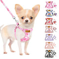 SlowTon No Pull Dog Harness with Leash for Small Medium Dogs, Strawberry XXS - color: Pink Strawberry, size: XX-Small(2.2-6lb)