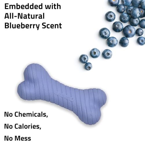 Playology Dual Layer Bone Dog Chew Toy - Jumbo, Blueberry Scent | Rubber Construction, All Natural Scent, Heavy Duty Design - size: Jumbo, style: Blueberry