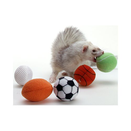 Marshall Ferret Sport Balls – 2-Count – Assorted Plush Sports Toys for Ferrets – Soft, Lightweight, and Perfect for Chasing & Batting - style: Sport Balls