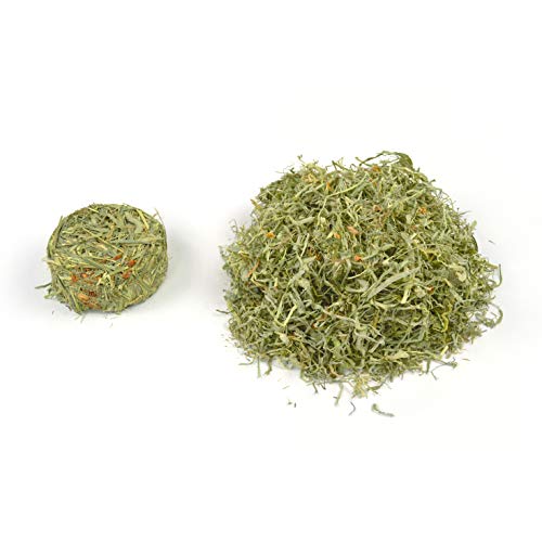 Oxbow Harvest Stacks, Timothy Hay, Rabbits & Guinea Pigs, Carrot, 35 oz | Compressed Timothy Hay Stacks For Rabbits, Guinea Pigs & Chinchillas, Less Dusty, Travel Friendly, Easy to Feed, Made in USA