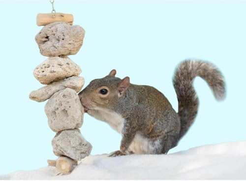 Exotic Nutrition Pumice Chew Dangle - Natural Healthy Hanging Cage Accessory Toy - for Squirrels, Degus, Chinchillas, Prairie Dogs, Birds, Rats, Hamsters, Guinea Pigs & Other Small Pets (Dark Gray) - color: Dark Gray