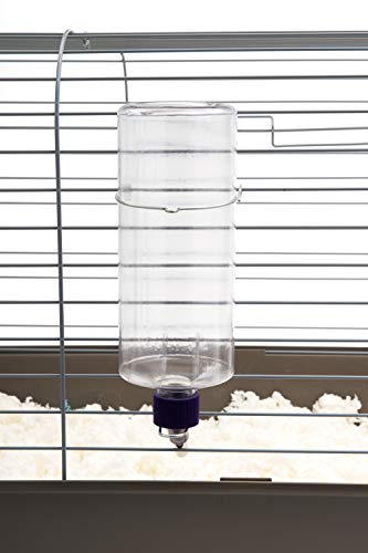 Lixit Standard Cage Water Bottles for Rabbits, Ferrets, Guinea Pigs, Hamsters, Rats, Mice and Other Small Animal's (32 Ounce, Clear Pack of 2) - color: Clear Pack of 2, size: 32 Ounce