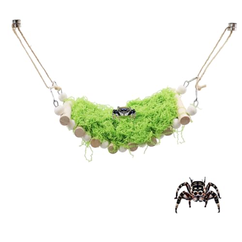 Jumping Spider Enclosure Accessories, Wooden Bridge with 7 Steps and Green Clusters Simulate Moss, Magnetic Jumping Spider Habitat Enclosure Decor