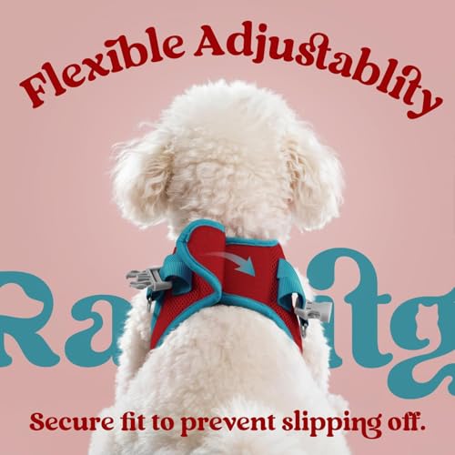 rabbitgoo Dog Harness Small Sized and Leash Set, Step in Soft Vest | Breathable Mesh, Easy Wear with Hook & Loop, Light and Reflective for Walking, Multi-colored, Red & Teal, XXS - color: Red & Teal, size: XXS (Chest: 12.4"-14.2")