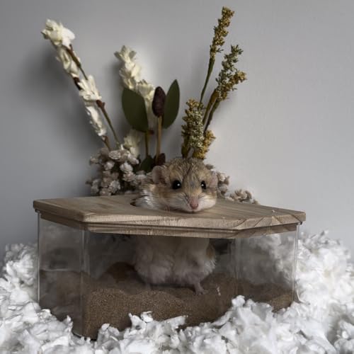 Exotic Nutrition Acrylic Sand Bath House - Fun & Unique Cage Accessory for Hamsters, Gerbils, Chinchillas, and Degus (Corner) - size: Corner