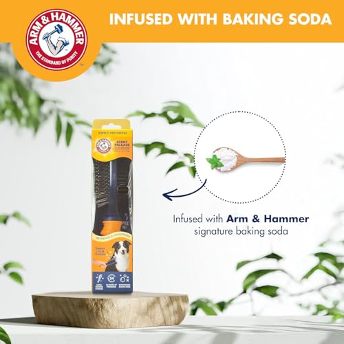 Arm & Hammer Deodorizing Pin & Bristle Dog Brush, Lily & Vanilla, 2-Pack | Fragrance transfer technology, baking soda infused, detangling and deshedding, for long-haired dogs daily - size: 2-Pack, style: Pin/Bristle Duo Brush - Sweet Lily & Vanilla