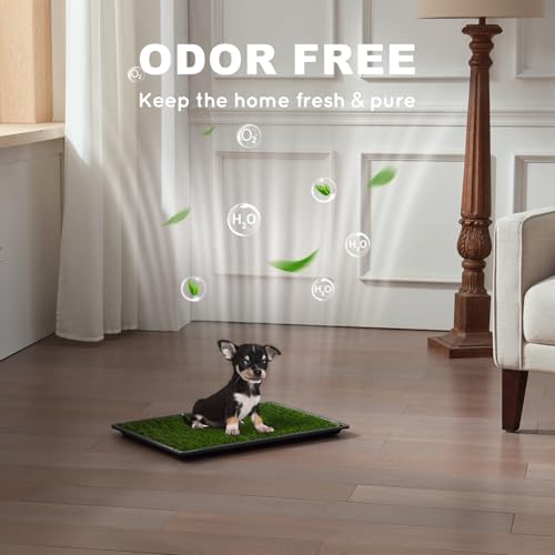 HQ4US Dog Grass Pad with Tray, Odor Free Grass Pee Pad for Dog Litter Box | Small Dog Potty Tray No Grate, Artificial Grass Fast Drainage, Hemmed Edge, Realistic, Fake Grass for Indoor Balcony - size: S(No Grate) - 23" x 16" for Dog＜19'' Length