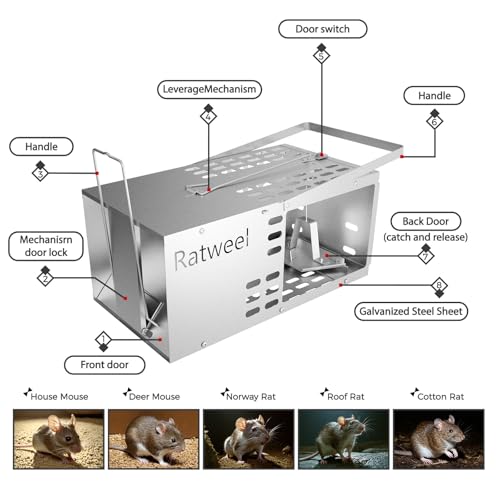 Humane Rat Trap Live Mouse Trap Indoor Catch and Release Animal Cage Multi Large Bait (2 Pack) - size: 2 Pack