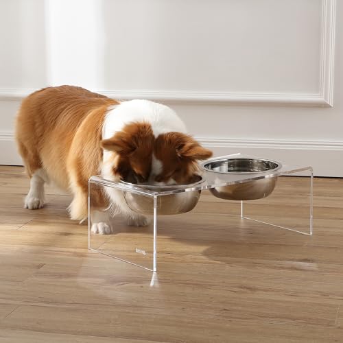 DBL2001A Keaton 7.5" Medium/Large Modern Lucite Rectangular Elevated Pet Feeder with 54oz 2-Stainless Steel Bowls, Clear/Chrome - color: Clear/Chrome, size: 54 Ounces (7.5" Cups 2-Pack)