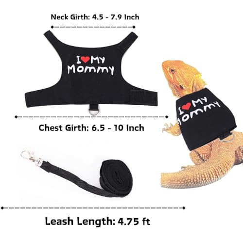 Small Animal Travel Backpack Carrier,Portable Bearded Dragon Bag for Sugar Glider,Hedgehog,Rat,Bunny,Rat,Outdoor Used (Green, Carrier L+ I Leash) - color: Green