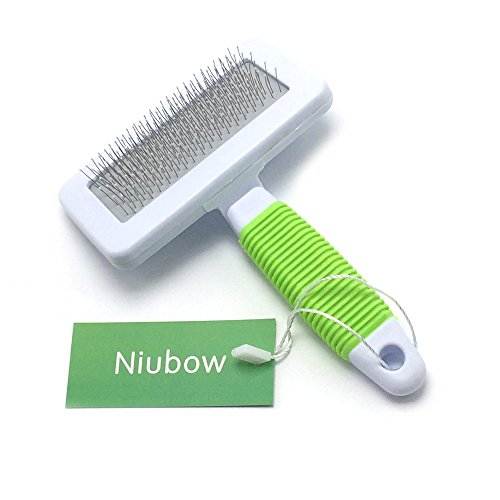 Pet Slicker Brush for Dogs & Cats (Small, Green) | Professional Quality, Coated Pin Tips, Gently Removes Mats & Loose Dead Hair Easily - color: Green, size: Small (Pack of 1)