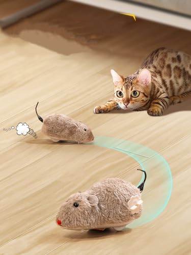 Black Clockwork Mouse Toy, Cat Mice Toys, Cat Plush Mouse Hunting Toy, Clockwork Running, Wind Up Indoor Plush Mice Wind-up Pet, Realistic Racing for Kitten, Indoor