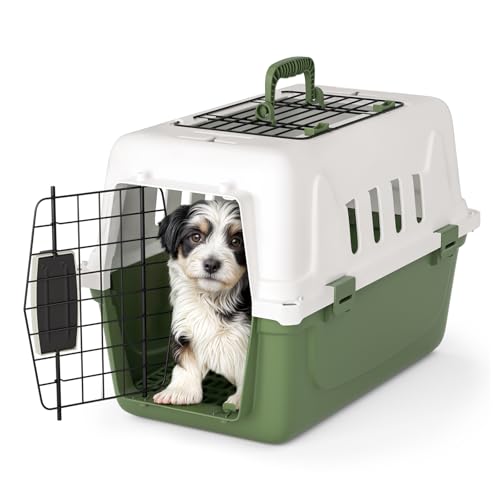 Magshion 18 Inch Hard-Sided Dog Cat Carrier, Green | Top and Front Door Access, Plastic Dog Kennel for Longer Traveling, Durable Handle and 4 Sides Ventilation, For Pet Up 20 lbs - size: 18.0"L x 10.5"W x 12.0"H